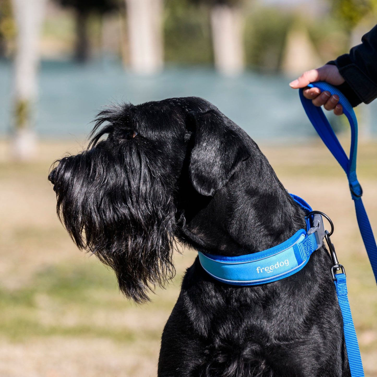 Freedog Cool Pro Tech Leash