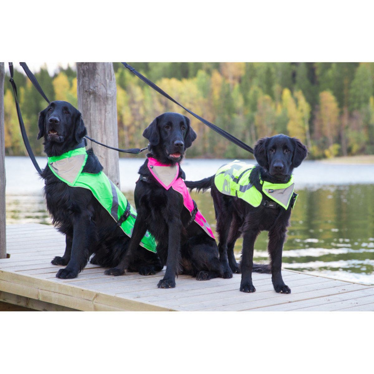 Rukka Pets Flap Safety Vest