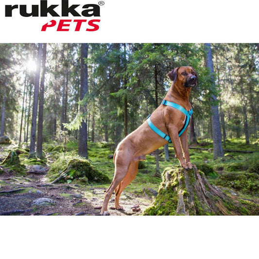 Rukka Pets Form Harness