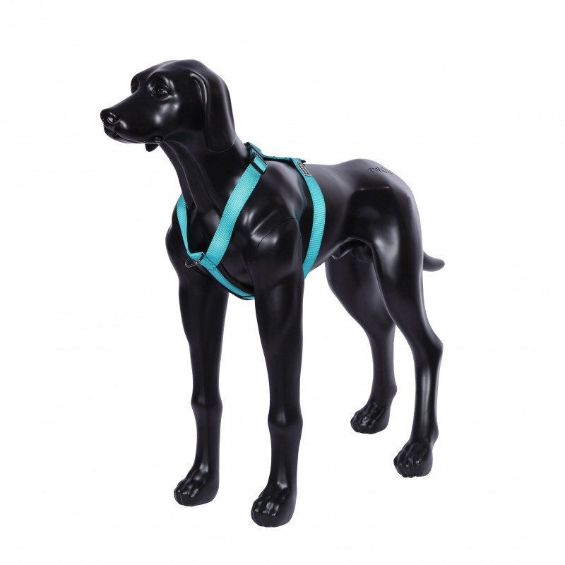 Rukka Pets Form Harness