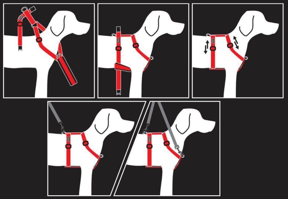 Rukka Pets Form Harness