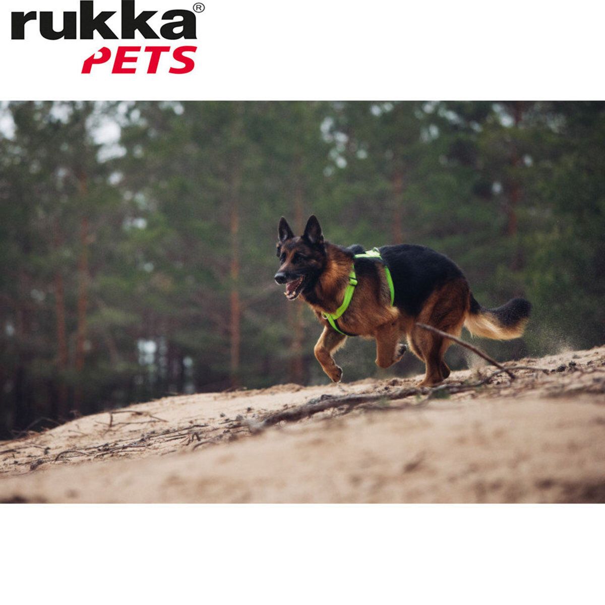 Rukka Pets Form Neon Y-Harness