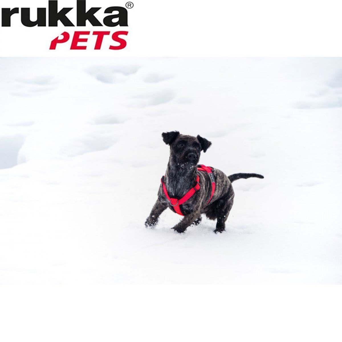 Rukka Pets Form Neon Y-Harness