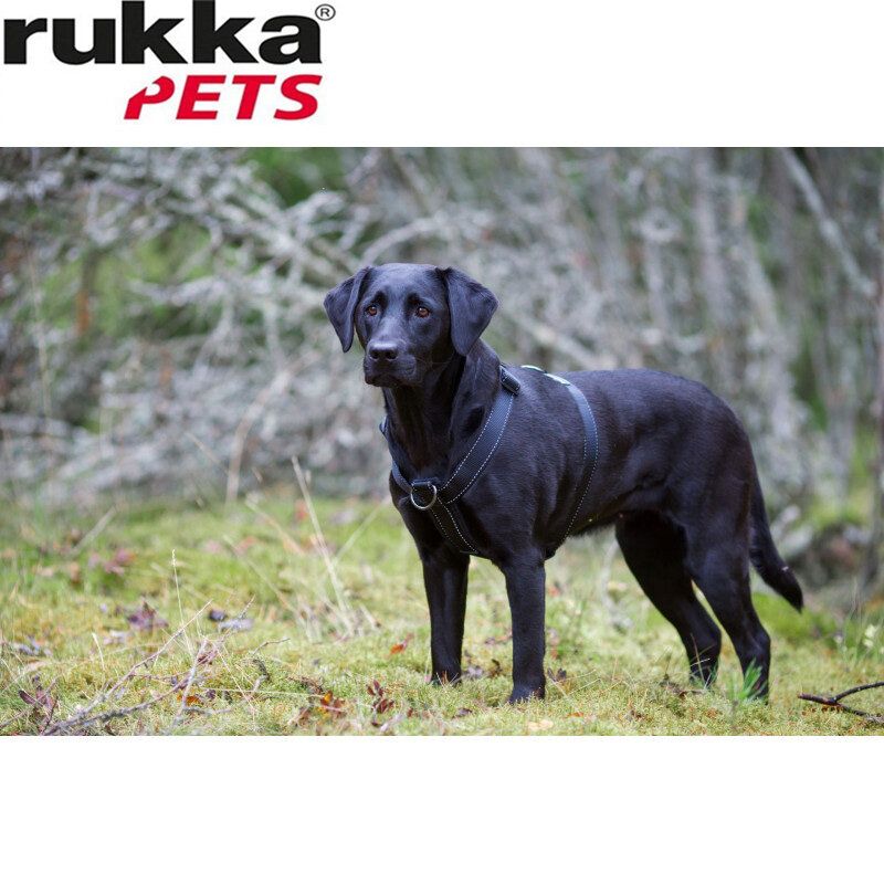 Rukka Pets Form Y-Harness