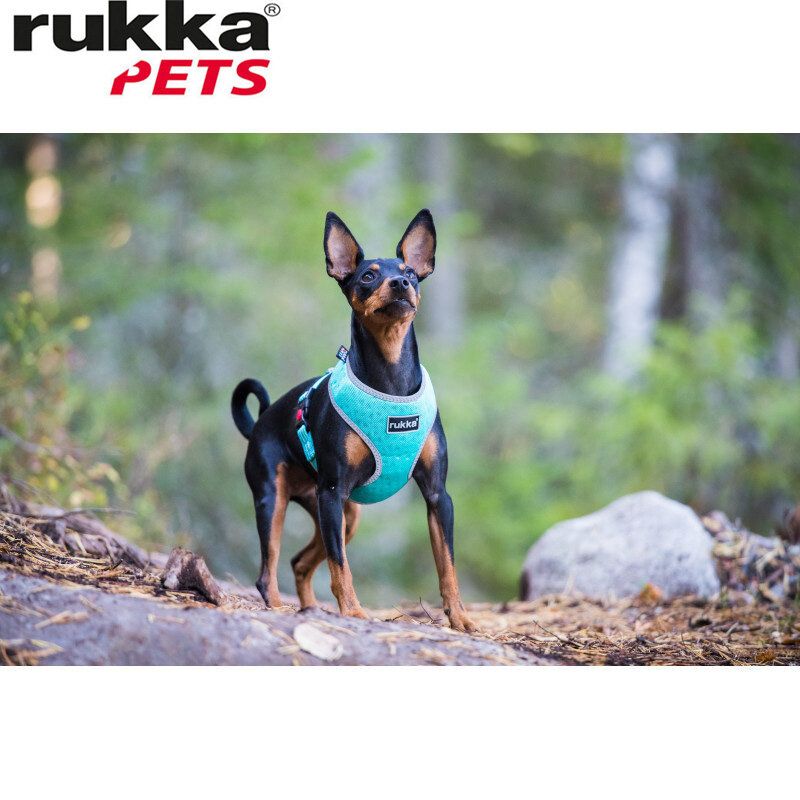 Rukka Pets Laser Mini Harness