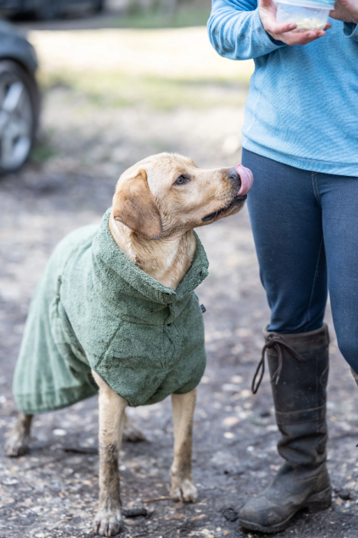 Rukka Pets Medea Eco Bathrobe Green