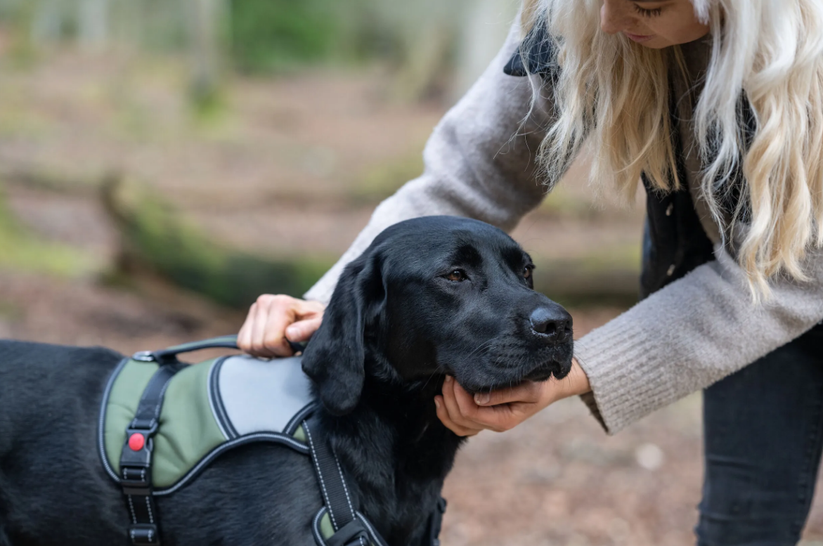 Rukka Pets Mission Harness Green