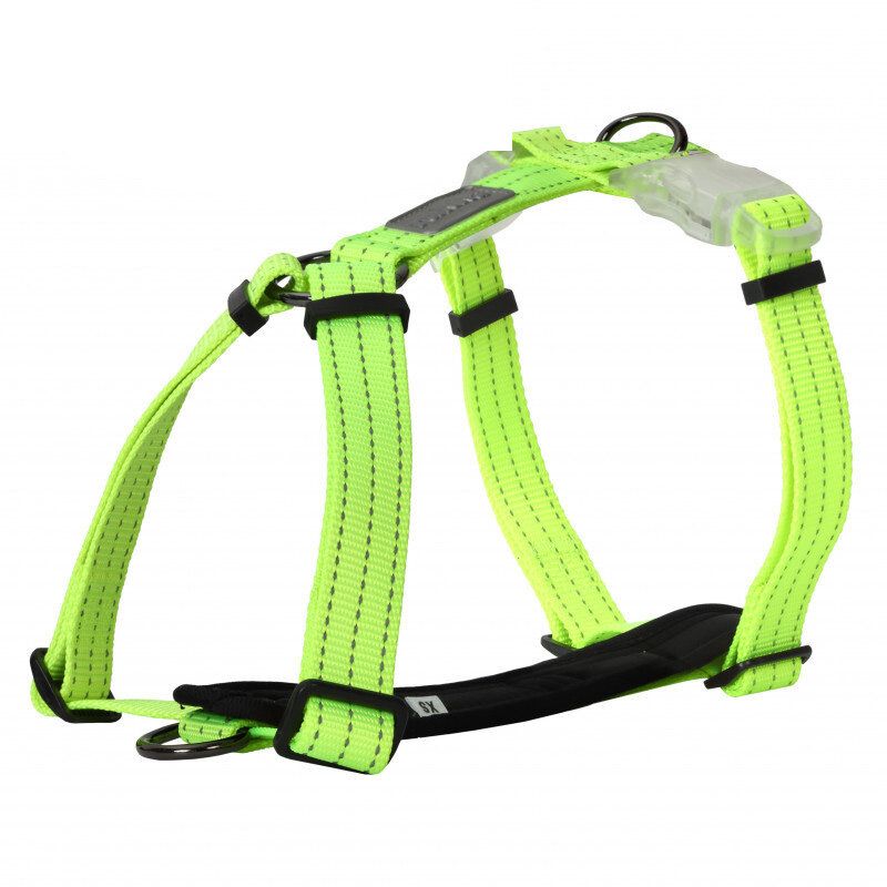 Rukka Pets Neon Light Y-Harness