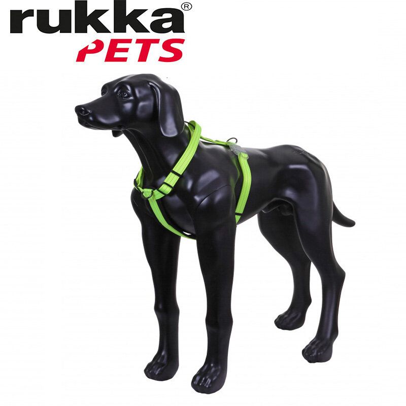 Rukka Pets Neon Light Y-Harness