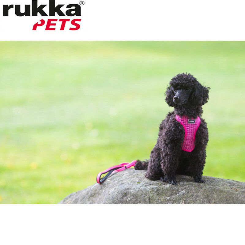 Rukka Pets Comfort Air Harness