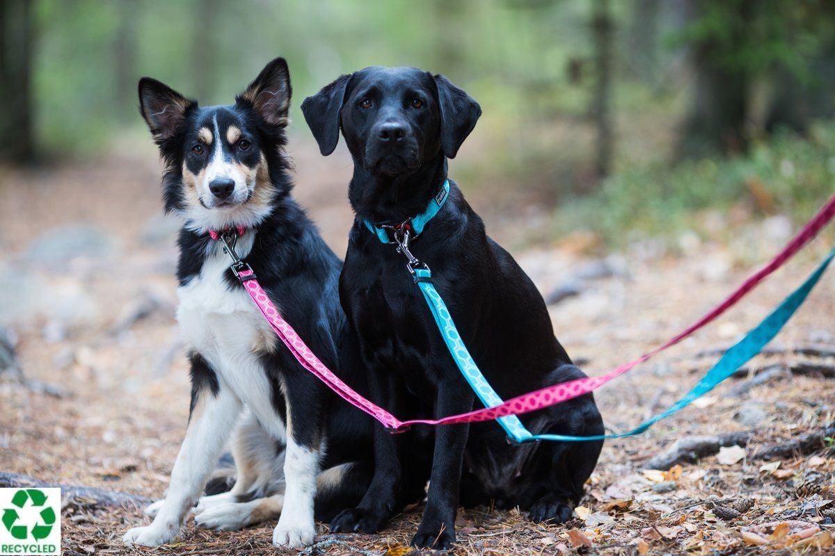 Rukka Pets Twist Collar