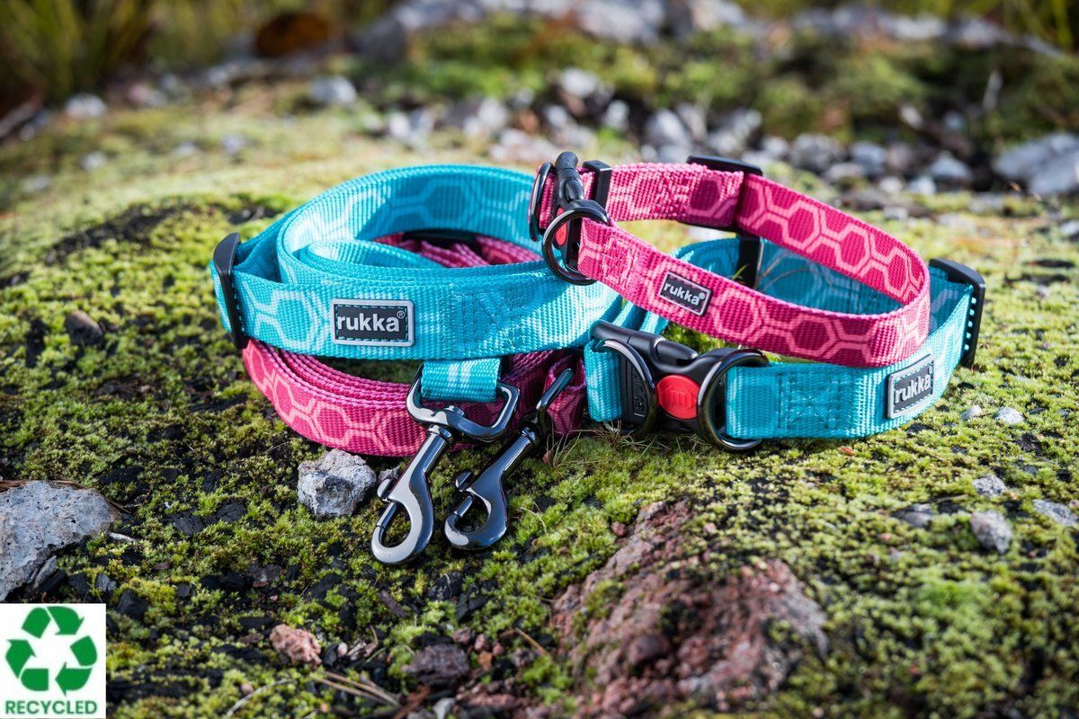 Rukka Pets Twist Collar