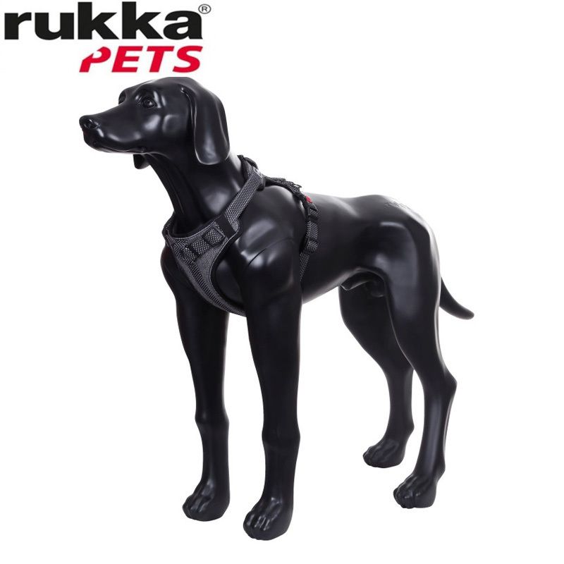 Rukka Pets Star 帶襯墊束衣束帶