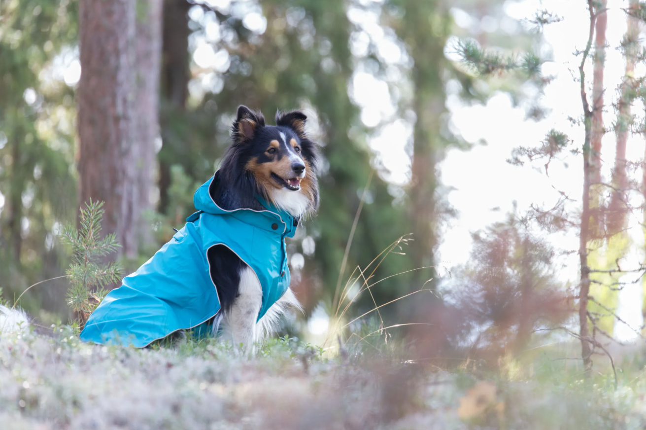 Rukka Pets Stream Raincoat