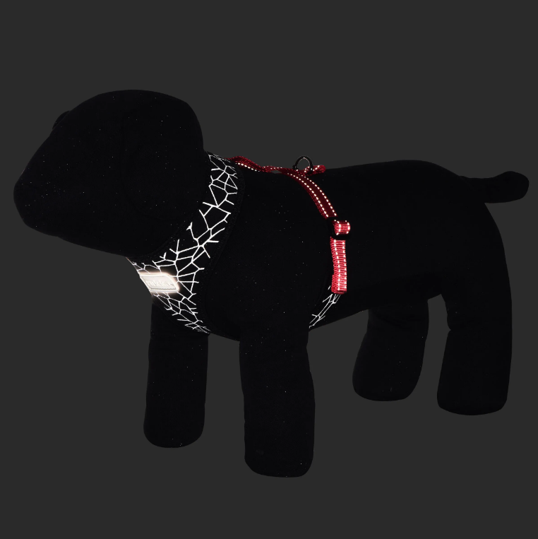 Rukka Pets Cube Mini Harness