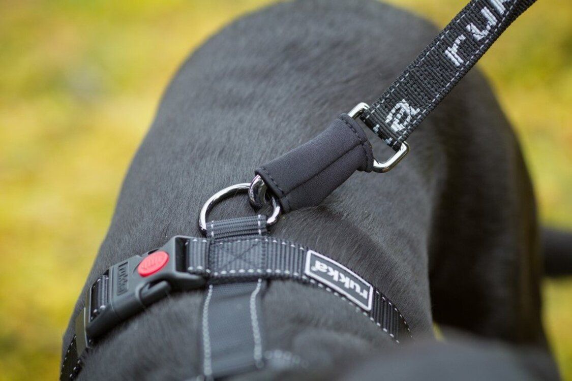 Rukka Pets Hike Trail遠足寵物牽引繩