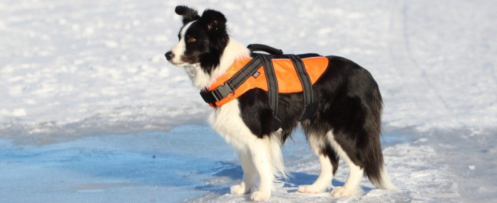 Rukka Pets Safety Life Vest Orange