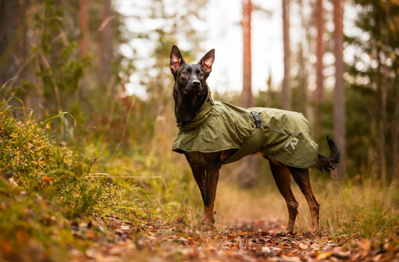 Rukka Pets Sky Raincoat Green