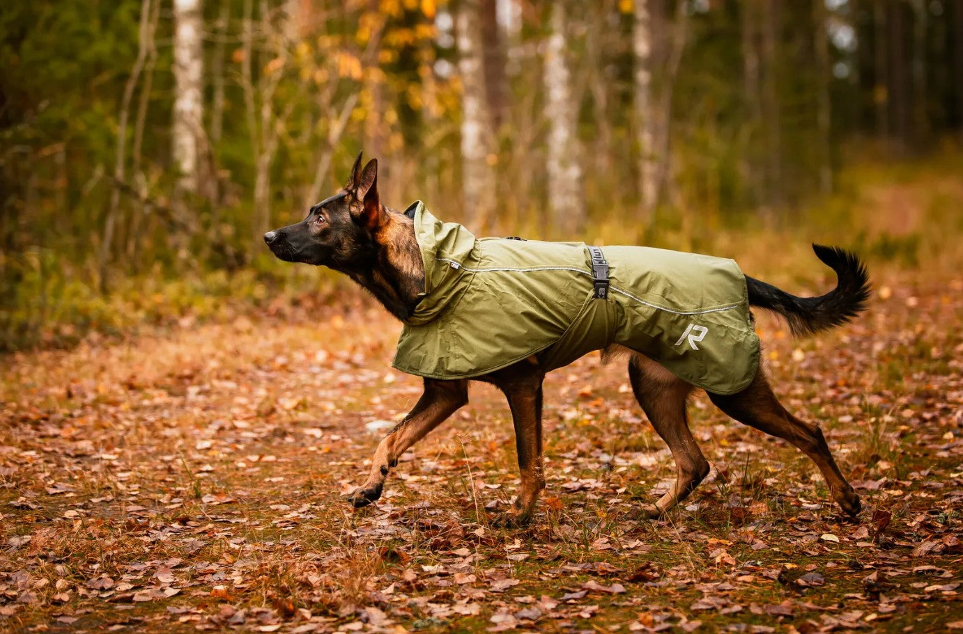 Rukka Pets Sky Raincoat Green