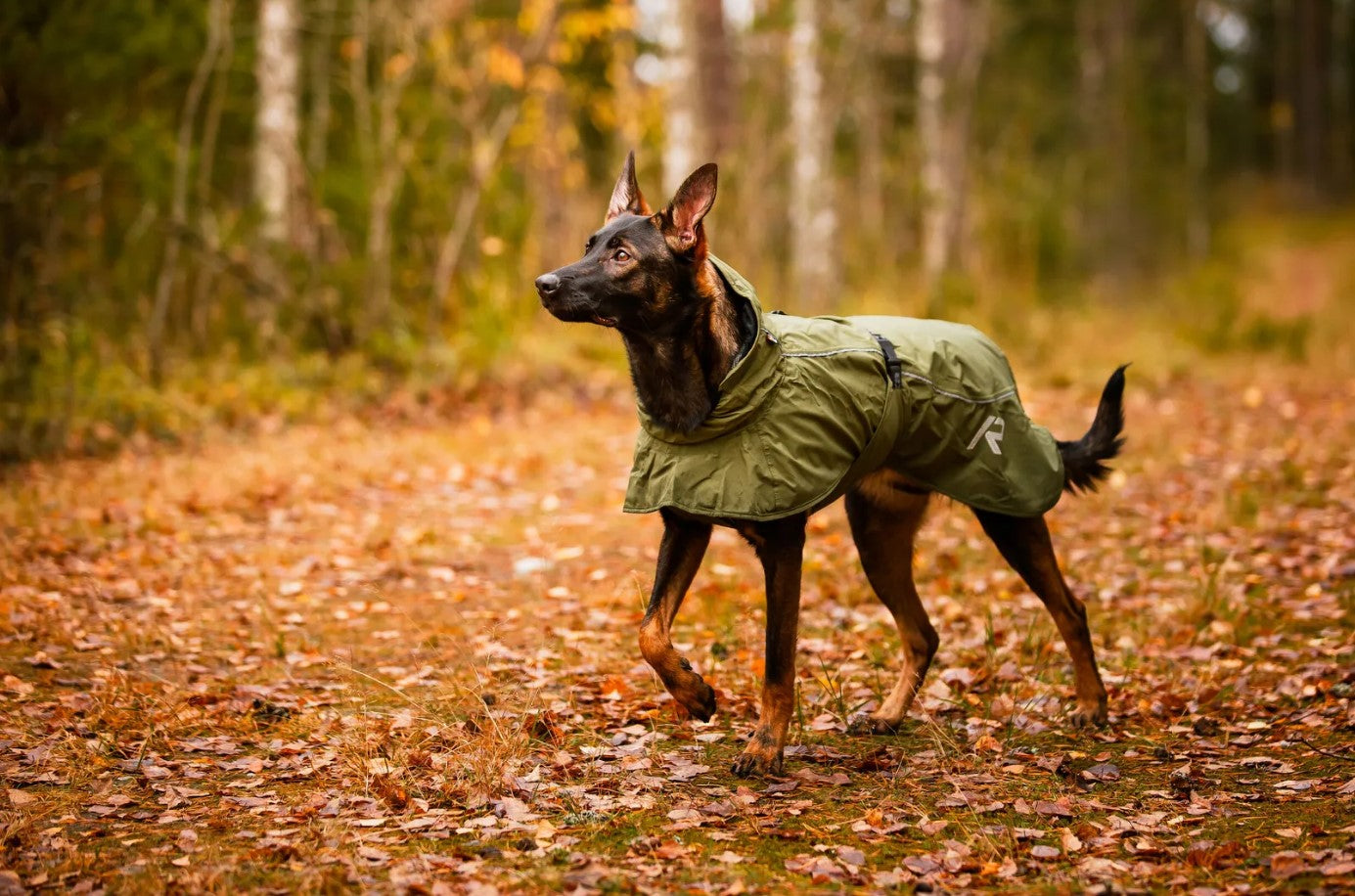 Rukka Pets Sky Raincoat Green