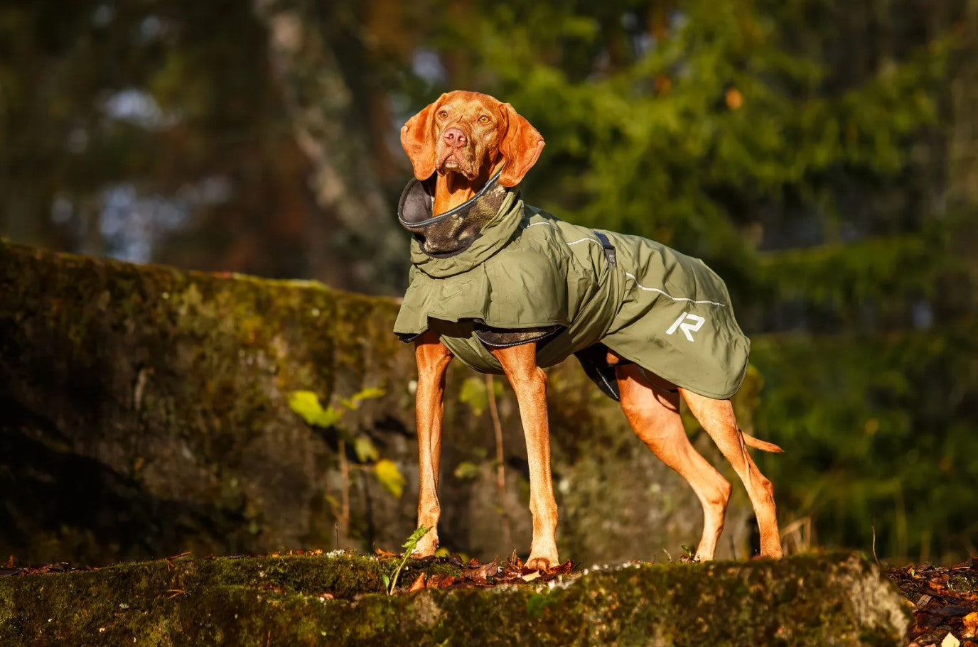 Rukka Pets Sky Raincoat Green