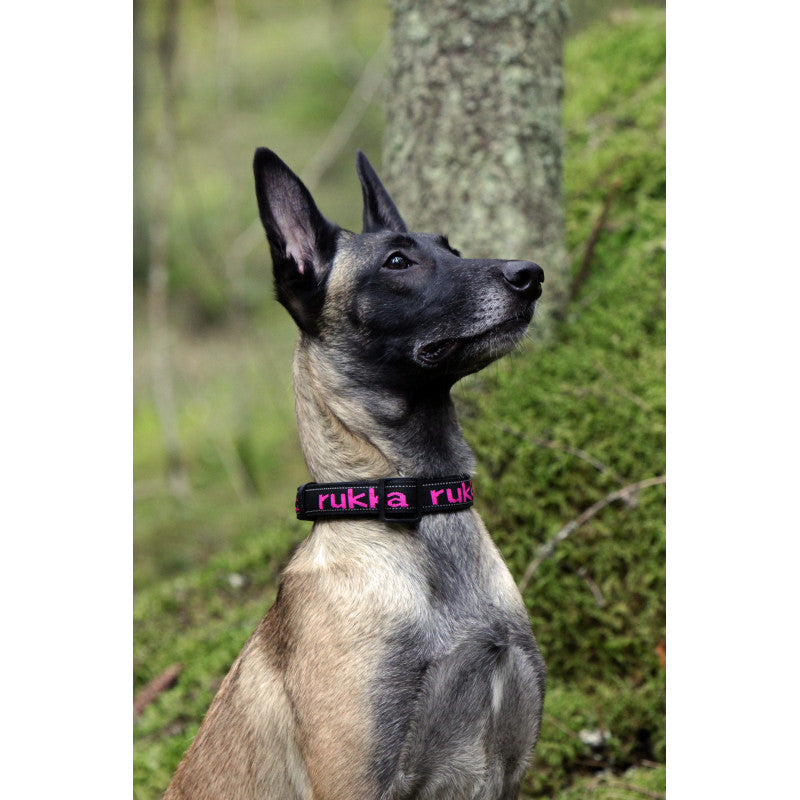 Rukka Pets Solid Web Pet Collar