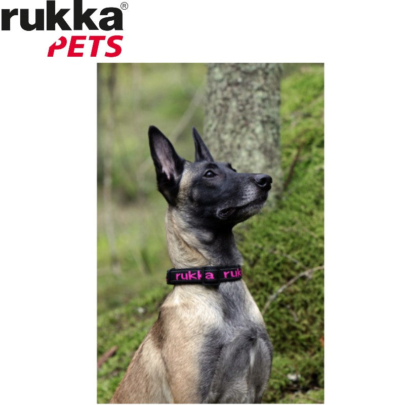 Rukka Pets Solid Web 宠物项圈